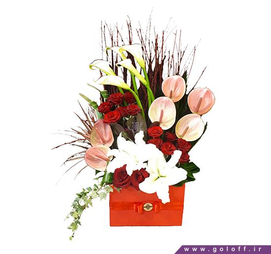 خرید گل - جعبه گل برشا - Beresha | گل  آف